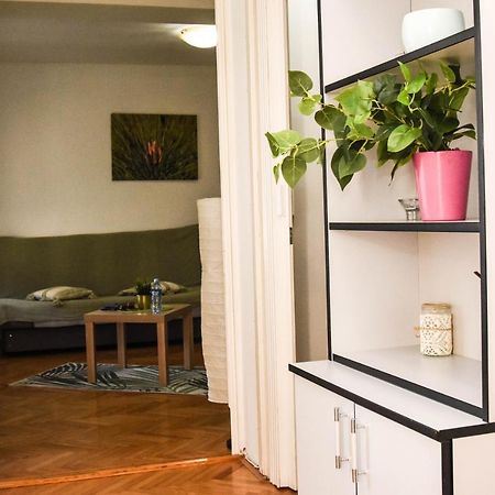 Apartment Kiwi نوفي ساد المظهر الخارجي الصورة