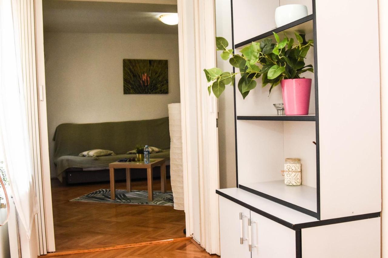Apartment Kiwi نوفي ساد المظهر الخارجي الصورة