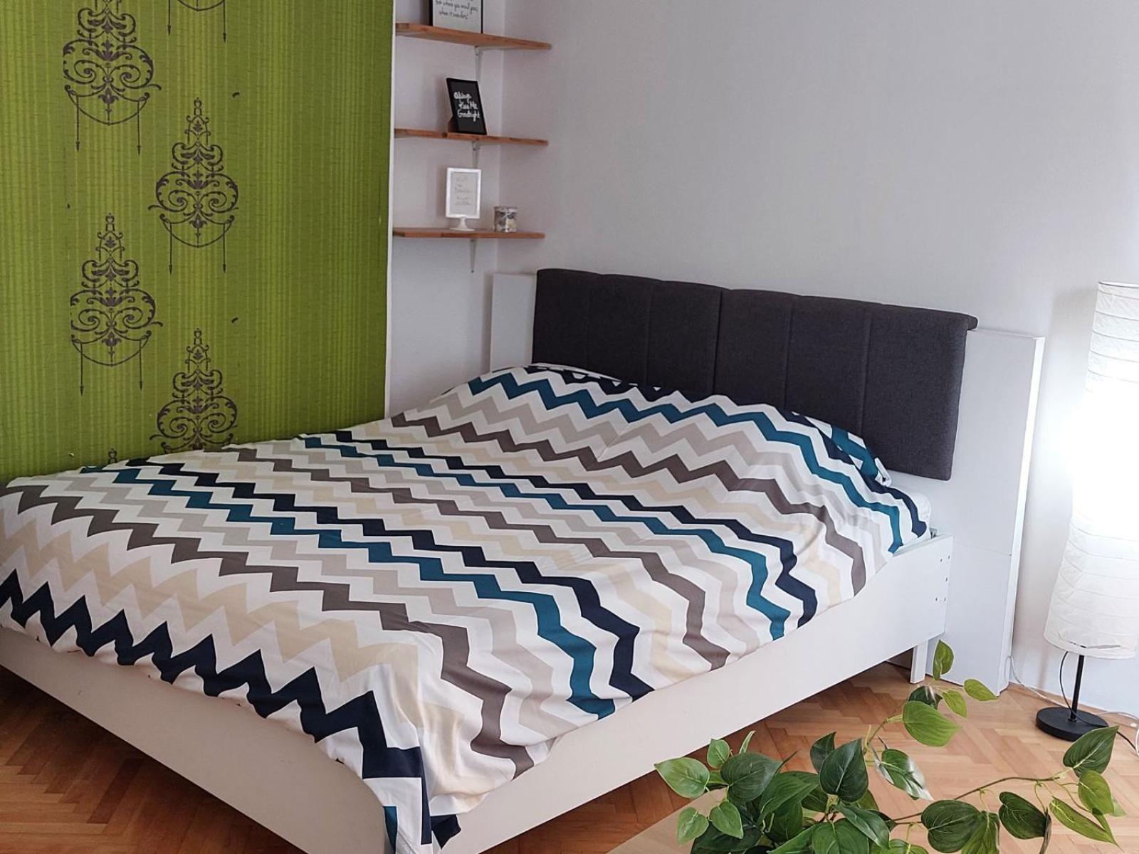 Apartment Kiwi نوفي ساد المظهر الخارجي الصورة